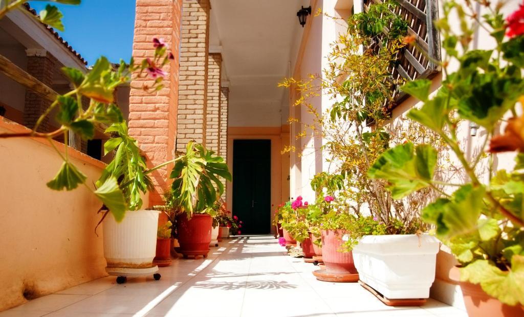 Avra Hotel Tínos 외부 사진